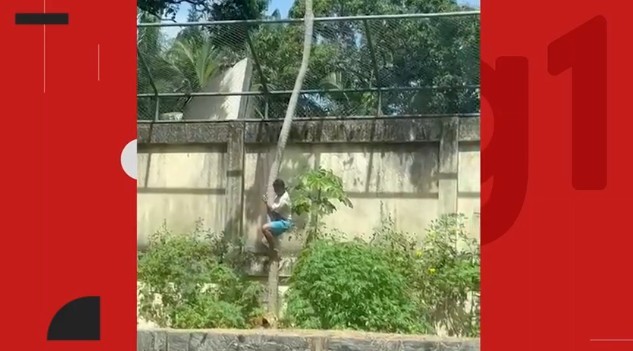 Morte de homem que entrou em jaula de leoa em João Pessoa repercute na imprensa internacional